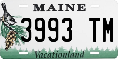 ME license plate 3993TM