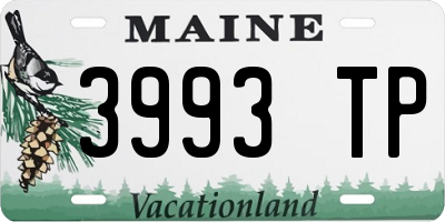 ME license plate 3993TP