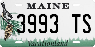 ME license plate 3993TS