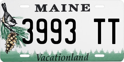 ME license plate 3993TT