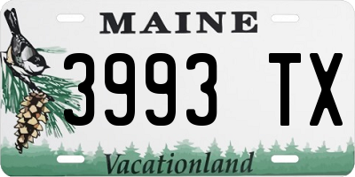 ME license plate 3993TX