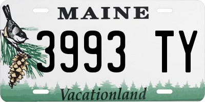 ME license plate 3993TY