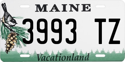 ME license plate 3993TZ