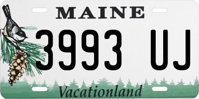 ME license plate 3993UJ
