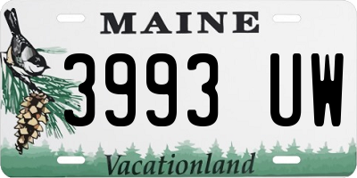 ME license plate 3993UW