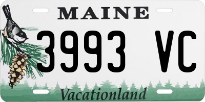 ME license plate 3993VC