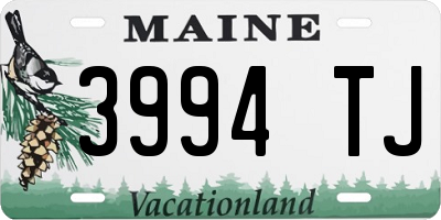 ME license plate 3994TJ