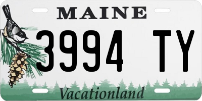 ME license plate 3994TY