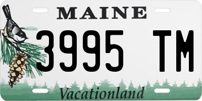 ME license plate 3995TM
