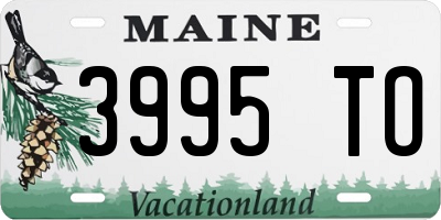 ME license plate 3995TO