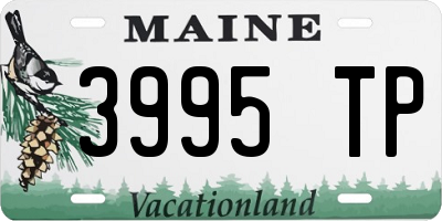 ME license plate 3995TP