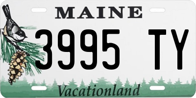 ME license plate 3995TY