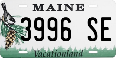 ME license plate 3996SE