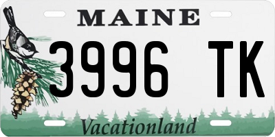 ME license plate 3996TK