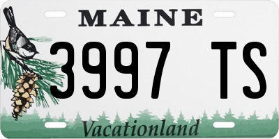 ME license plate 3997TS