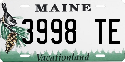 ME license plate 3998TE