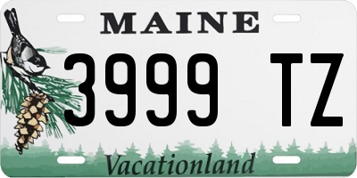 ME license plate 3999TZ