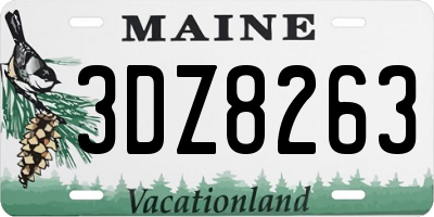 ME license plate 3DZ8263