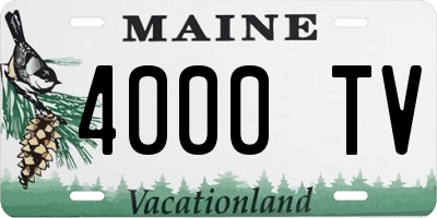 ME license plate 4000TV