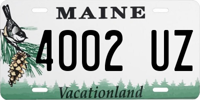 ME license plate 4002UZ