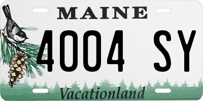 ME license plate 4004SY