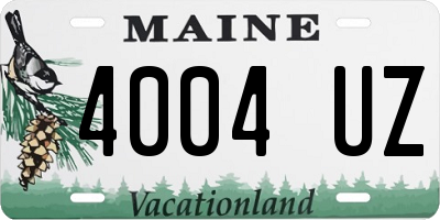 ME license plate 4004UZ