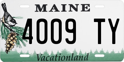 ME license plate 4009TY