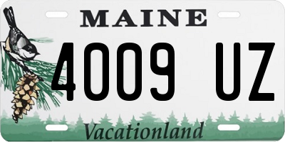 ME license plate 4009UZ