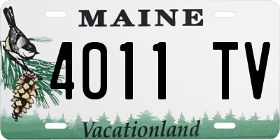 ME license plate 4011TV