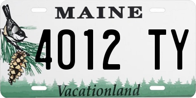 ME license plate 4012TY