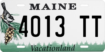 ME license plate 4013TT