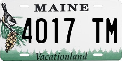 ME license plate 4017TM