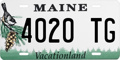 ME license plate 4020TG
