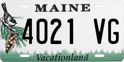 ME license plate 4021VG