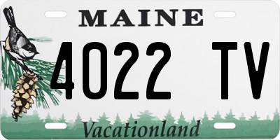 ME license plate 4022TV