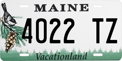 ME license plate 4022TZ