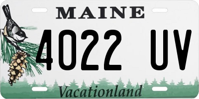 ME license plate 4022UV