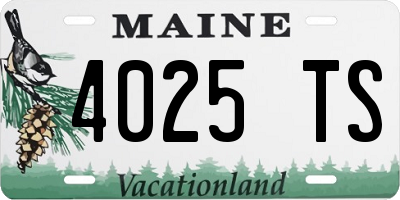 ME license plate 4025TS