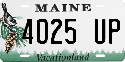 ME license plate 4025UP