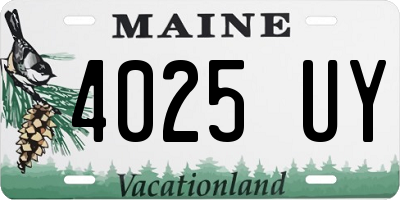 ME license plate 4025UY