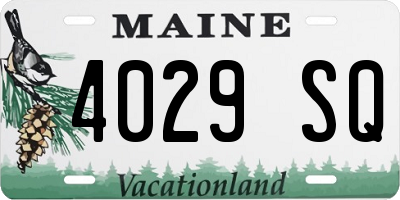 ME license plate 4029SQ