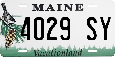 ME license plate 4029SY