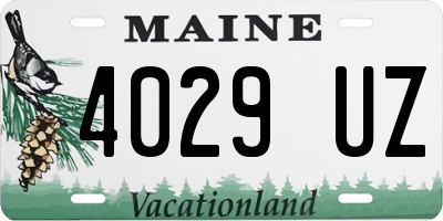 ME license plate 4029UZ