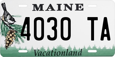 ME license plate 4030TA