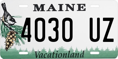 ME license plate 4030UZ