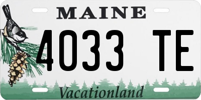 ME license plate 4033TE
