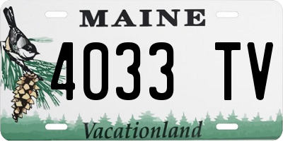 ME license plate 4033TV