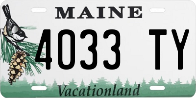 ME license plate 4033TY