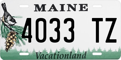 ME license plate 4033TZ