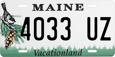 ME license plate 4033UZ